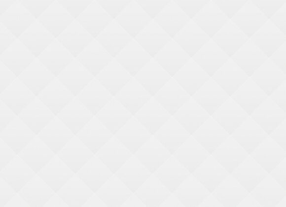 Installation “Strange Life”